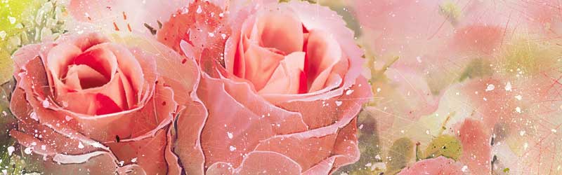 M͏onŒT2025N}W_TCgRI0002